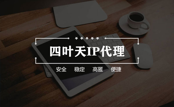 【陵水代理IP】如何快速搭建代理IP？怎么检查代理的效果？